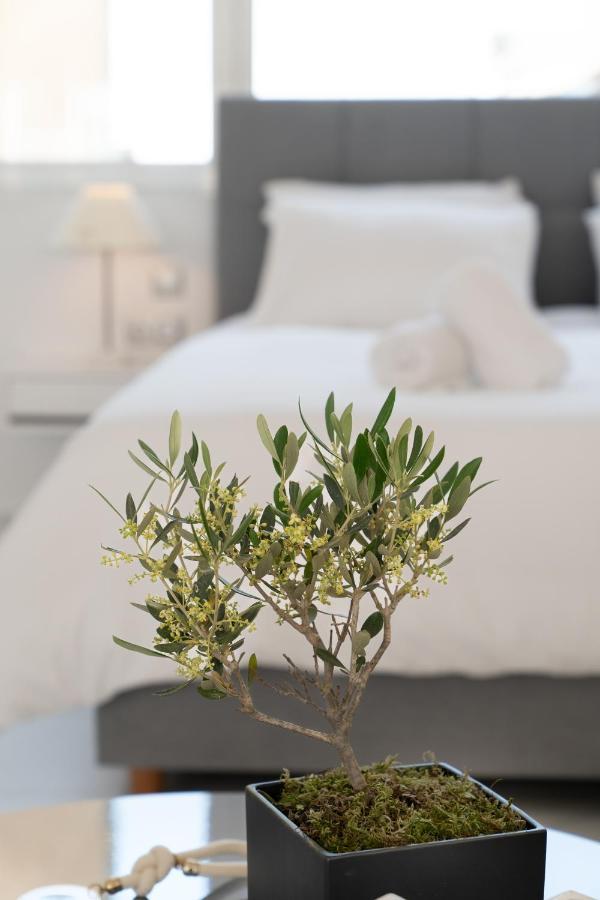 Olvar Suites أثينا المظهر الخارجي الصورة
